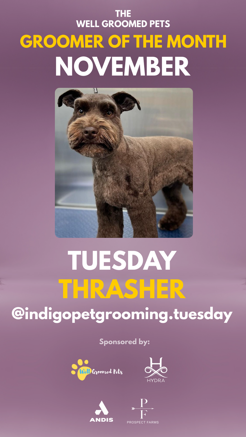 Congratulations Tuesday Thrasher for winning the Well Groomed GOTM Contest