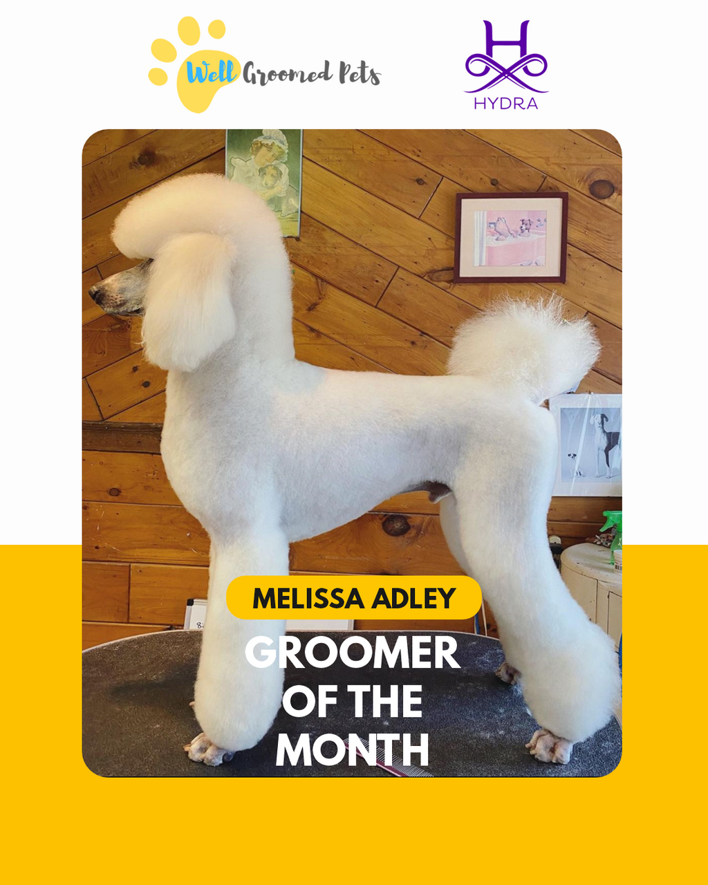 Congratulations to Melissa Adley Winner of the Well Groomed Groomer of the month contest