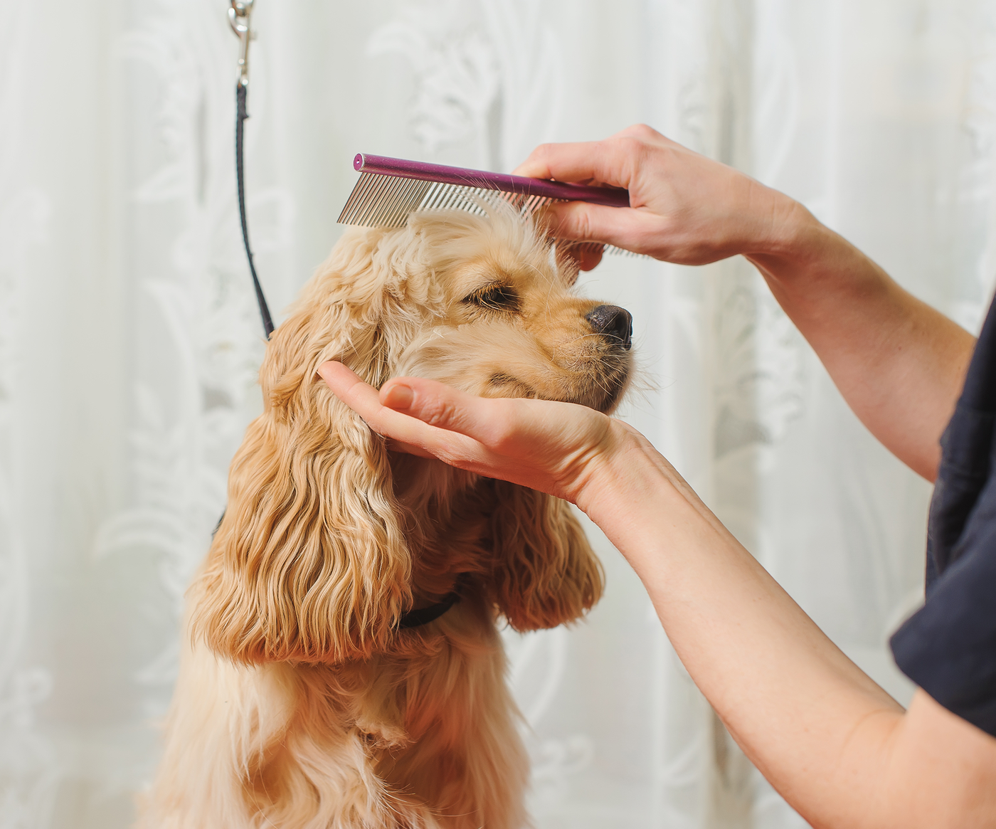 Compare Our Grooming Formulas