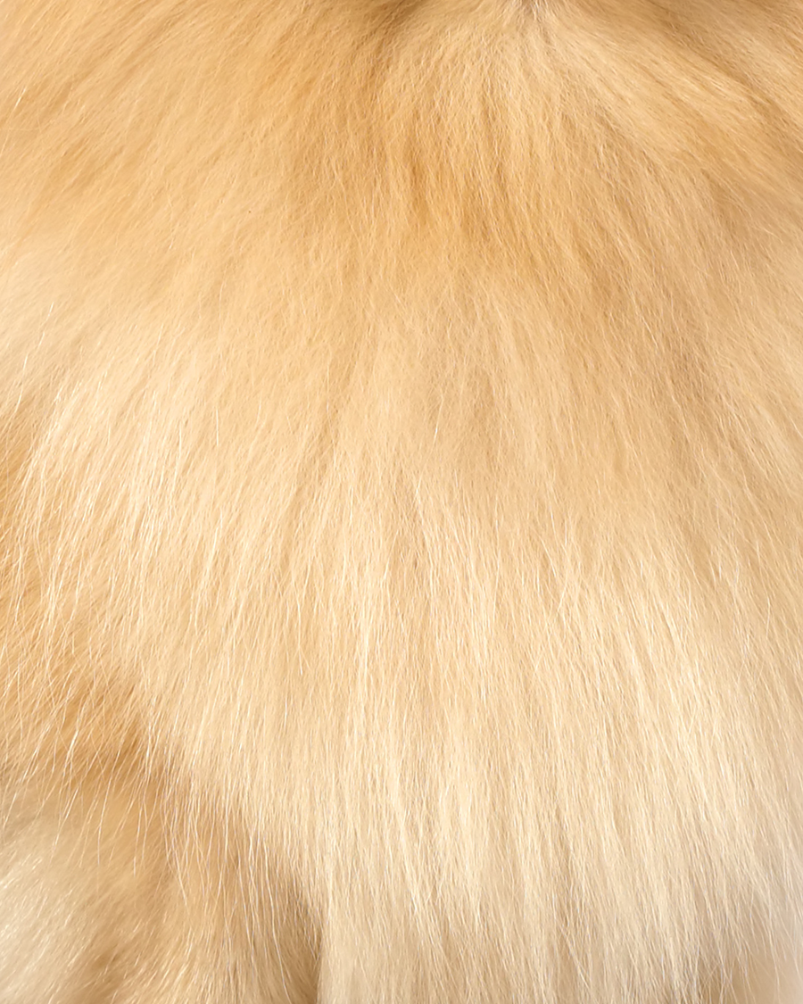Double Coat