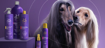 Hydra Professional