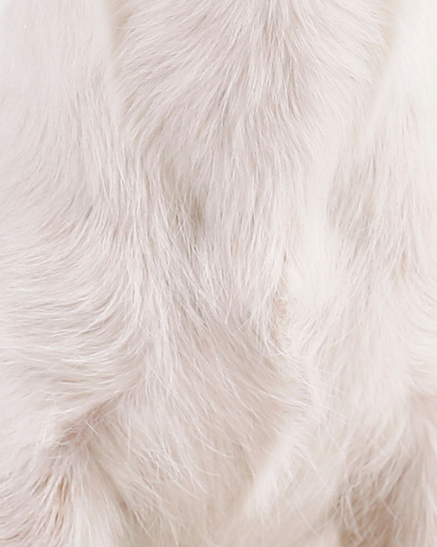 Wire Coat